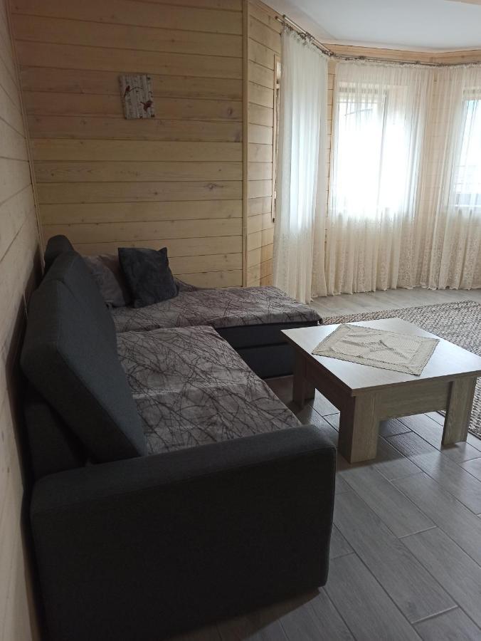Brand New 2020 Specious Apartment Druzi 2 팔리아니츠야 외부 사진