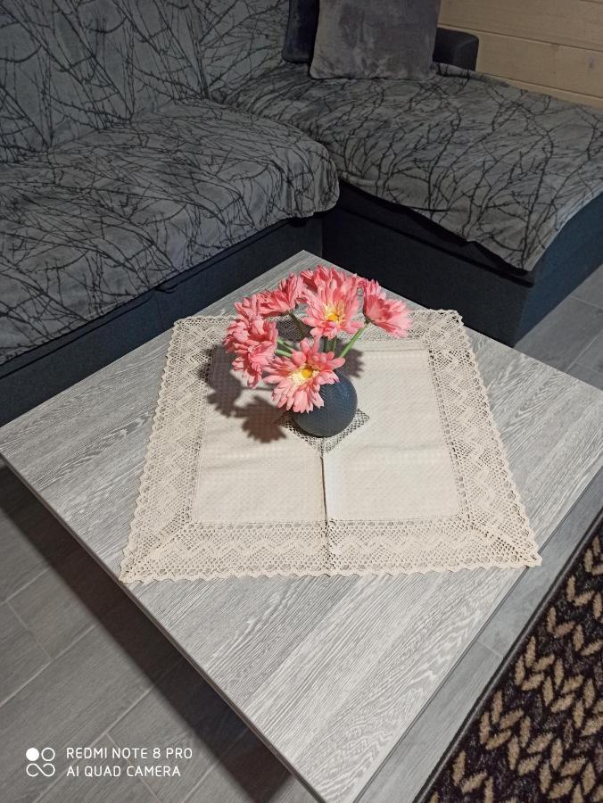 Brand New 2020 Specious Apartment Druzi 2 팔리아니츠야 외부 사진
