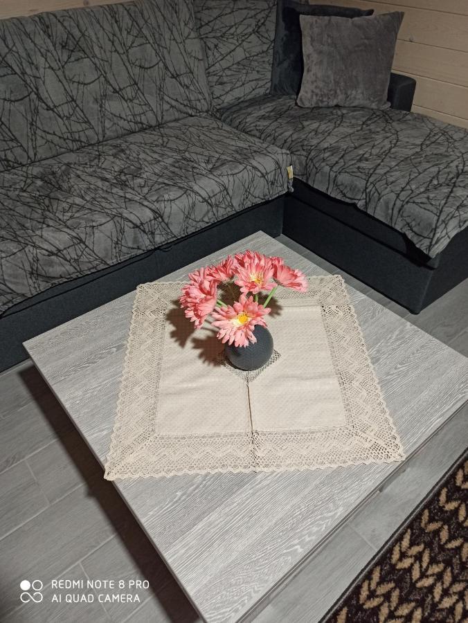Brand New 2020 Specious Apartment Druzi 2 팔리아니츠야 외부 사진